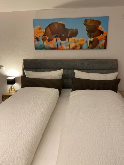 Ferienwohnung Kleinod Sayn 本多夫 外观 照片